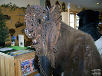 Black Hills
